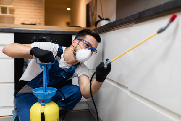 Best Pest Control Near Me  in Lake Landor, VA