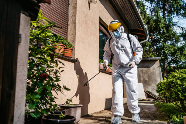 Best Pest Control Near Me  in Lake Landor, VA