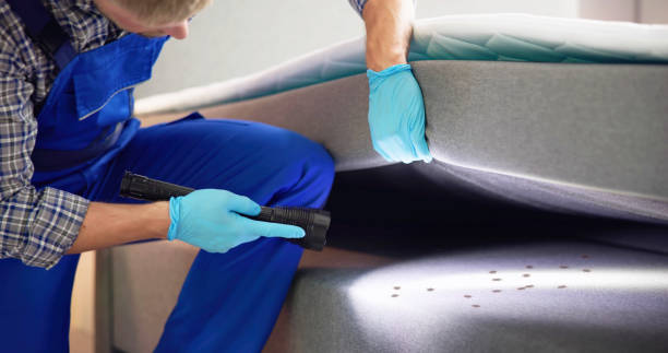 Best Best Pest Control Companies  in Lake Landor, VA