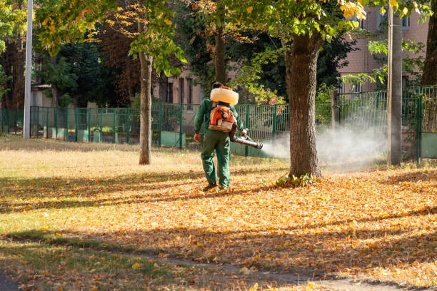 Reliable Lake Landor, VA Pest Control Solutions