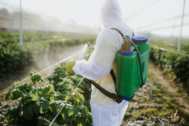 Best Wasp Removal Services  in Lake Landor, VA